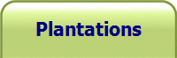 Plantations